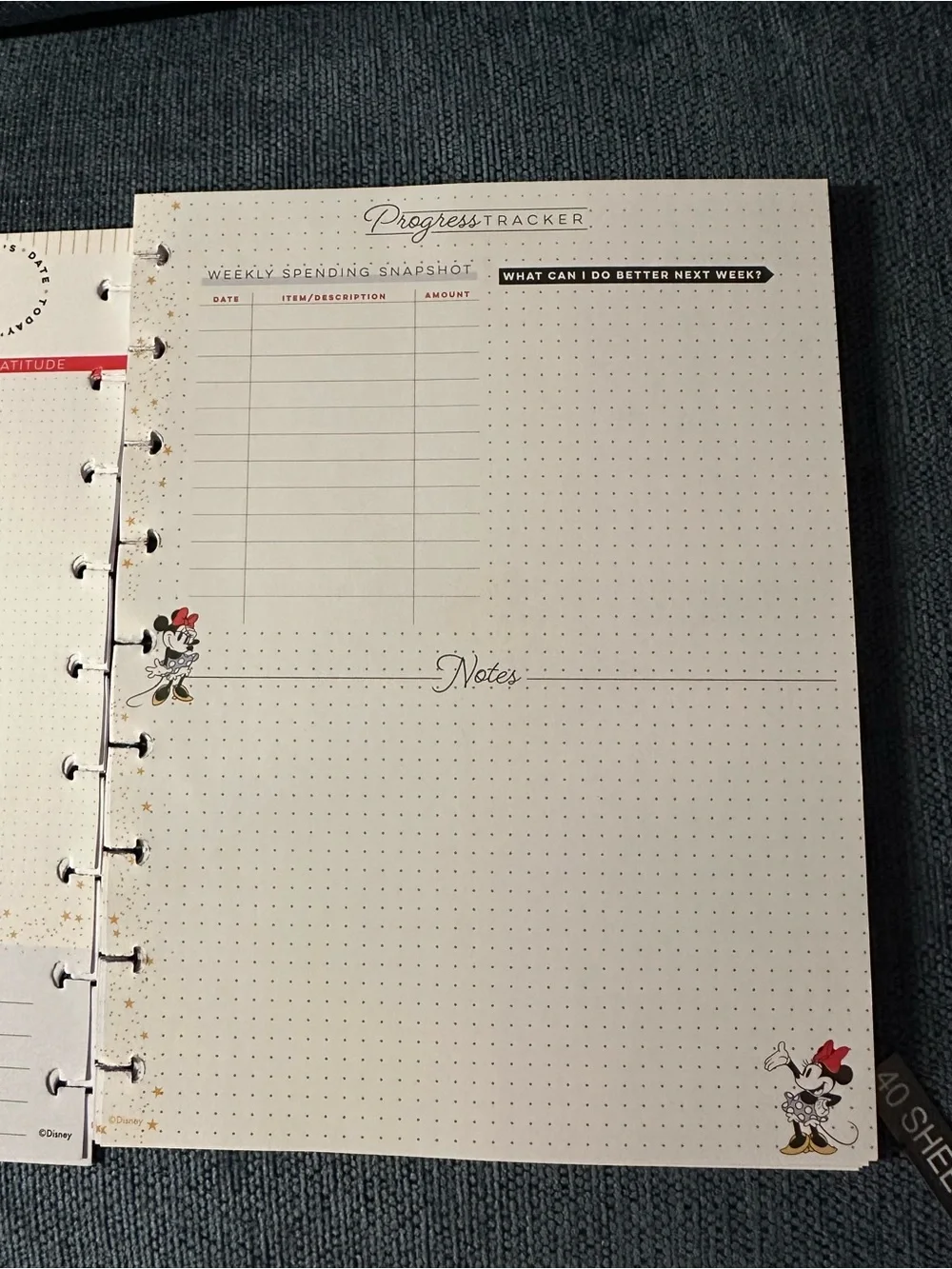 Disney Happy Planner happy planner